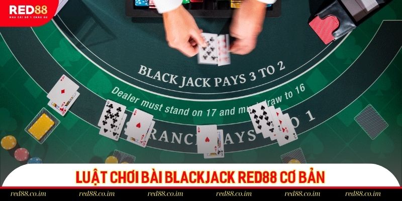 Luật lệ cơ bản trong cách chơi Blackjack RED88