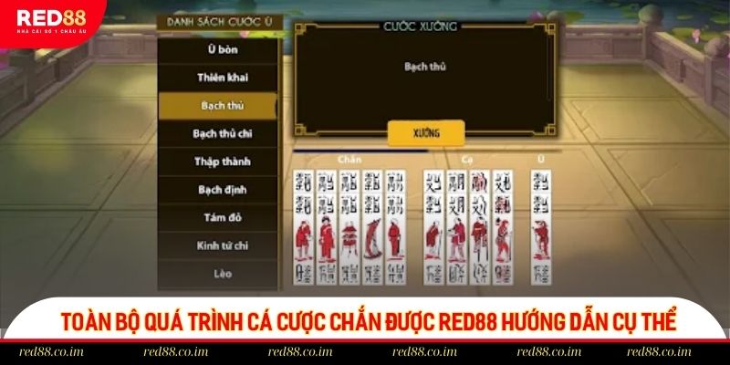 Toàn bộ quá trình cá cược Chắn được red88 hướng dẫn cụ thể