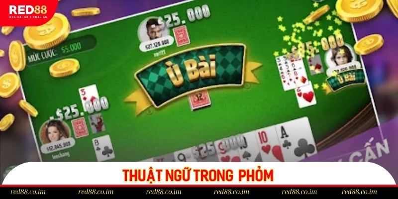 Những thuật ngữ thường thấy trong Phỏm RED88