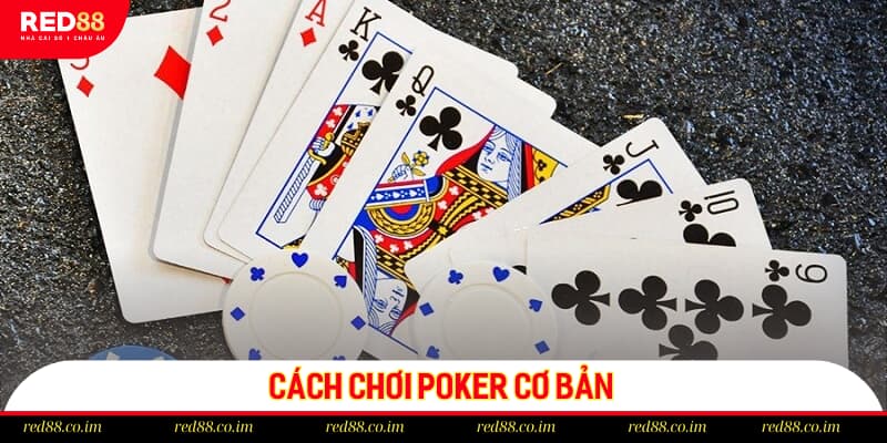 Cách chơi Poker cơ bản và những kiến thức then chốt