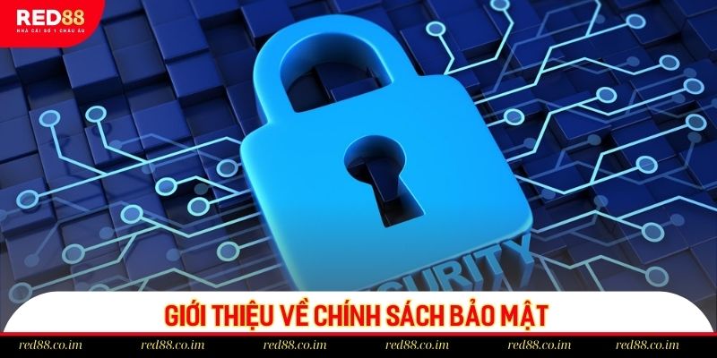 Đôi nét về chính sách bảo mật tại thương hiệu RED88