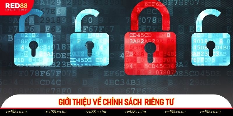 Đôi nét về chính sách riêng tư tại RED88