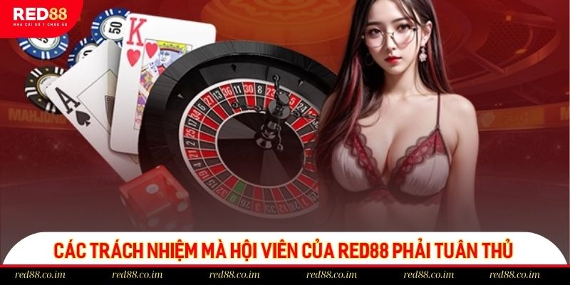 Các trách nhiệm mà hội viên của red88 phải tuân thủ