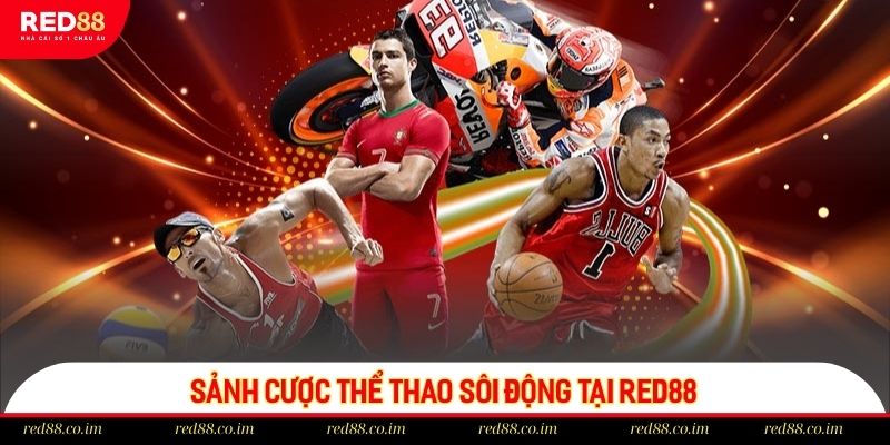 Thế giới thể thao đẳng cấp